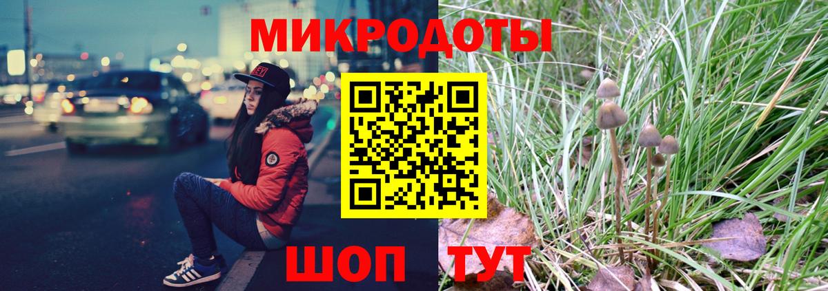 Галлюциногенные грибы Psilocybe  Вход с VPN  Великий Устюг 